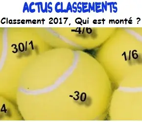 Joueuses et joueurs USSE Tennis monté au classement 2017