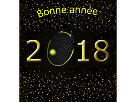 Lire la suite à propos de l’article Bonne année 2018 à tous !